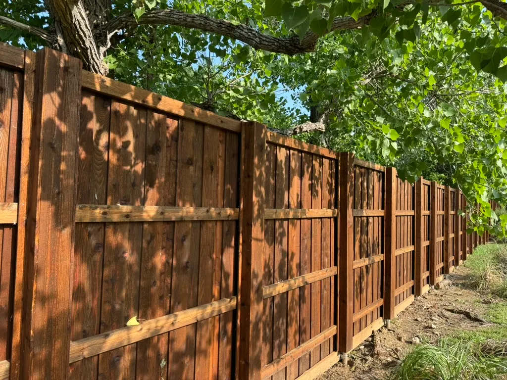 Board-on-board cedar fence with boxed posts