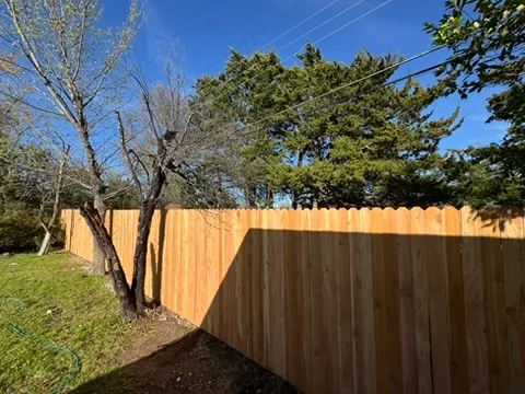 Cedar dog-ear picket fence along a side yard