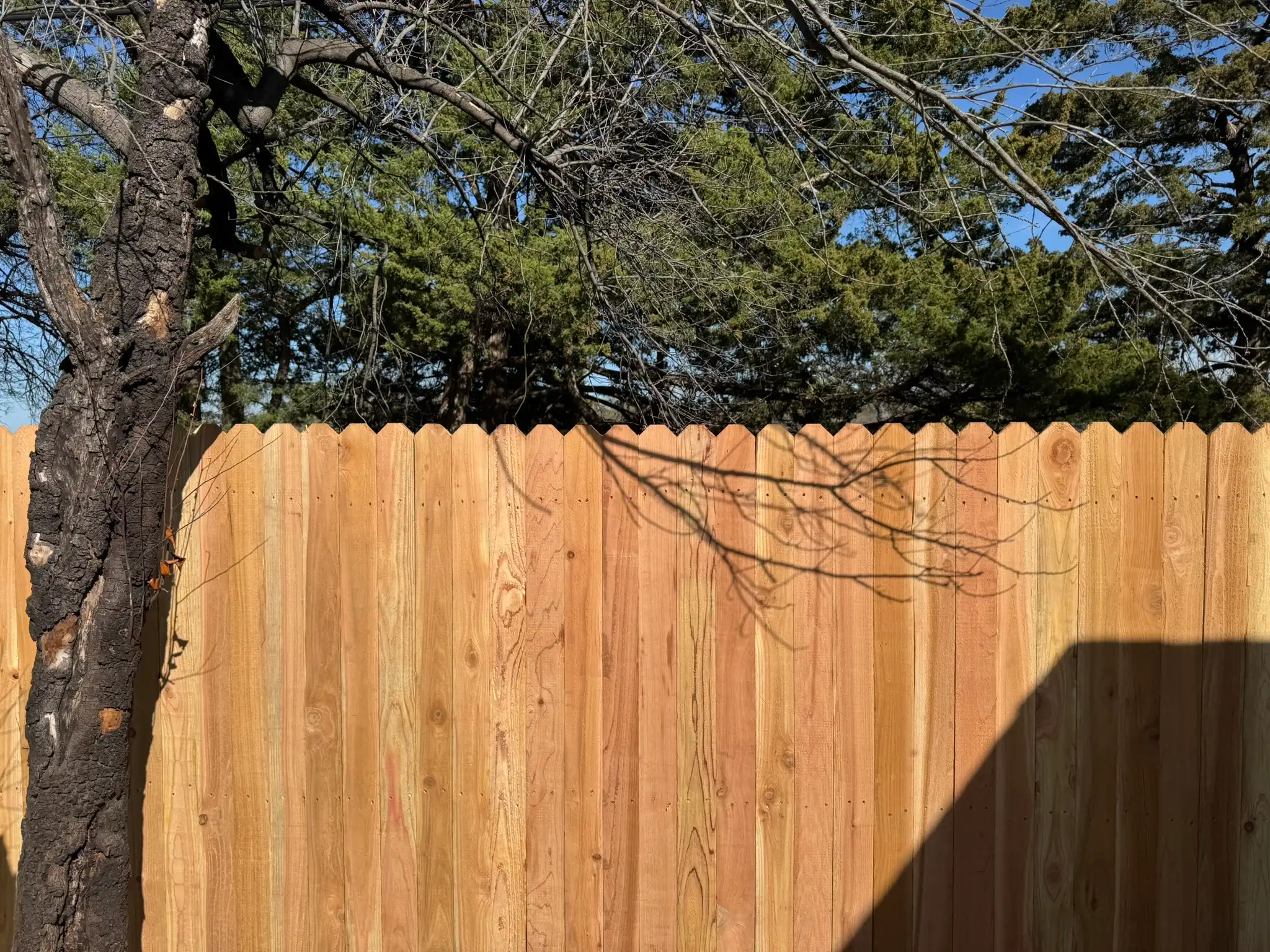 Dog-ear cedar privacy fence along a backyard