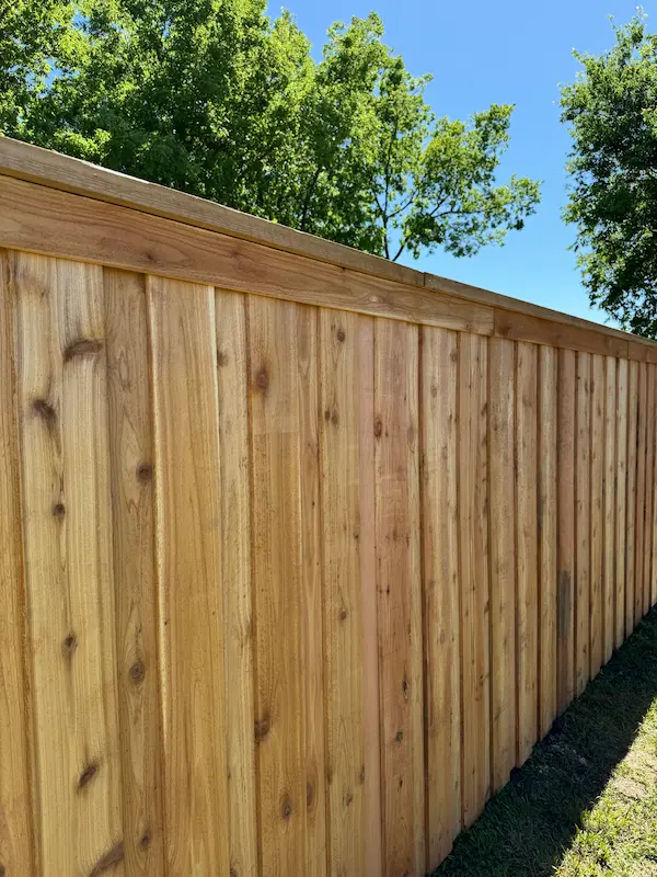 wood fencing 1